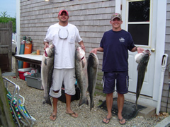 Decent Catch!