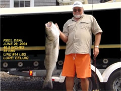Large Striper on Spinning Rod
