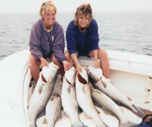 Stripers! Stripers!