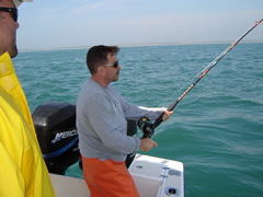 Reel Deal Rocks