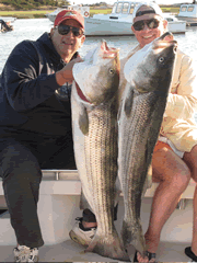40lb and 34lb Striped Bass