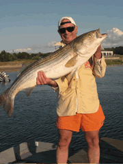 40lb Striped Bass