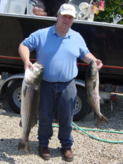 Large Striper and Blue!