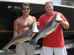 Great Striped Bass Fishing