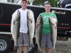 Striper Charter