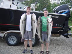 Super Stripers!