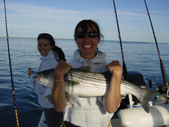 Rockin Reel Deal