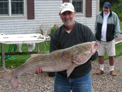 Thirty One Lber