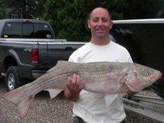 Thirty One Lber