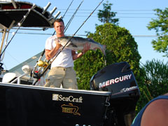 Weekend Striped Bass Catch
