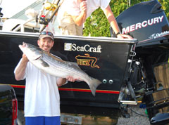 Great Striped Bass Day