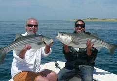June Striped Bass Charter