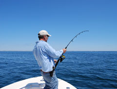 Ron Z Fighting Striped Bass