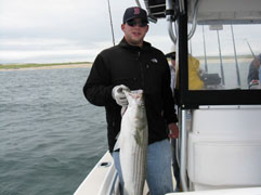 Jigged Up Striped Bass