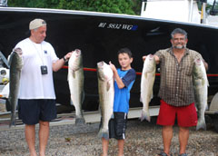 Excellent Striper Fishing in Truro