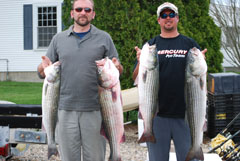 First Striped Bass for Reel Deal in 2008