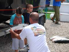 Looking at Bluefish Caught on Reel Deal