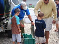 Cape Cod Fishing Charter Catch