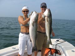 Striped Bass Catch On Cape Cod Fishing Charter