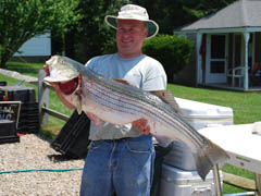 Striped Bass Fishing Charter on Reel Deal