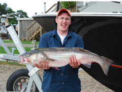 Striped Bass on Combination Charter
