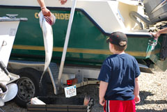 Great Stripers on Reel Deal