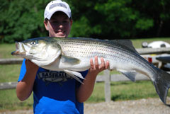 Great Stripers on Reel Deal