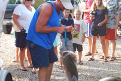 36lb Striped Bass in August