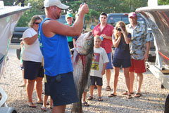 36lb Striped Bass in August