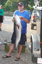 36lb Striped Bass in August