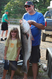 36lb Striped Bass in August
