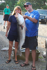 36lb Striped Bass in August