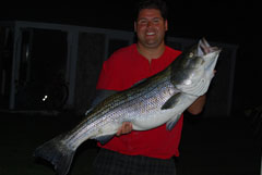 Reel Deal Brings in 36lber