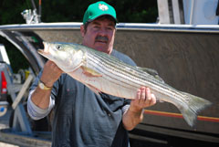 Great Striped Bass Trip for one of Reel Deal's Favorite Groups