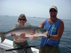 A Midsummer's Striped Bass Dream