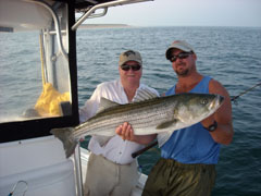 A Midsummer's Striped Bass Dream