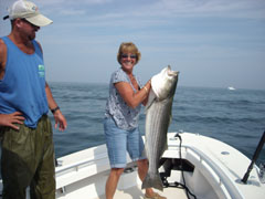 A Midsummer's Striped Bass Dream