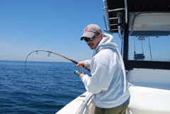 Fishing RonZ Baits on Reel Deal