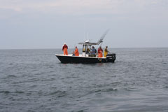 Great Striped Bass Fishing Charter