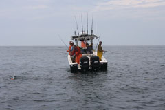 Great Striped Bass Fishing Charter