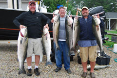 Large Striped Bass Keepers on Reel Deal