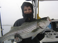 Light Tackle Striped Bass Fishing
