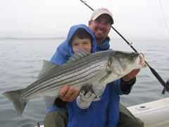 Light Tackle Striped Bass Fishing