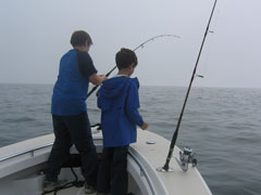 Light Tackle Striped Bass Fishing