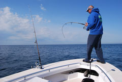 Light Tackle Fishing Charters