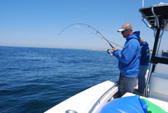 Light Tackle Fishing Charters