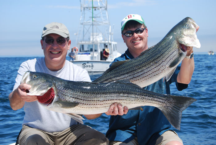 Happy Reel Dealers