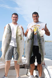 RonZ Rubber Baits Magic Continues for the Striped Bass