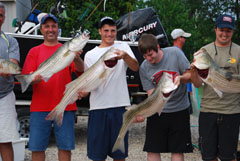Several Striped Bass Keepers on Reel Deal