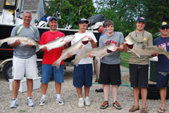 Several Striped Bass Keepers on Reel Deal